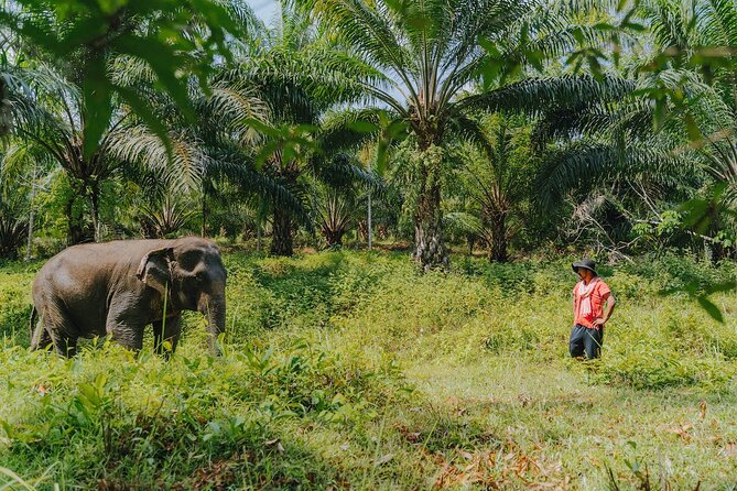 Khaolak Elephant Sanctuary, Cooking Class and Waterfall Tour - From 8am pickup to mahout outfit change in Khao Lak