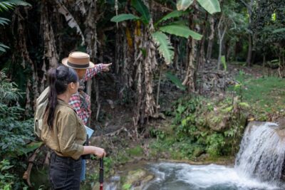 Khaolak Elephant Sanctuary, Cooking Class and Waterfall Tour - Market stop at 10:30am: why you’re buying elephant food locally