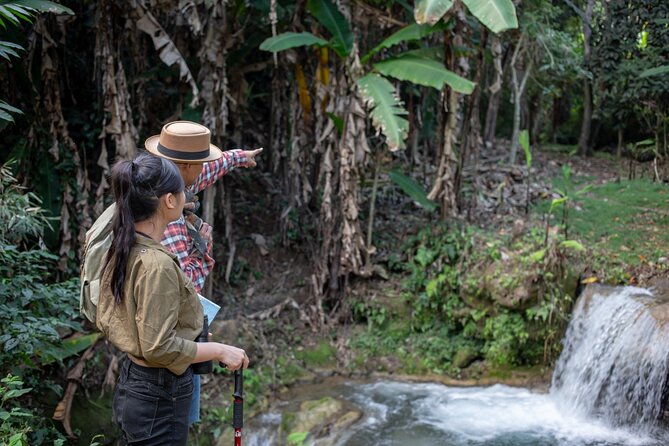 Khaolak Elephant Sanctuary, Cooking Class and Waterfall Tour - Market stop at 10:30am: why you’re buying elephant food locally