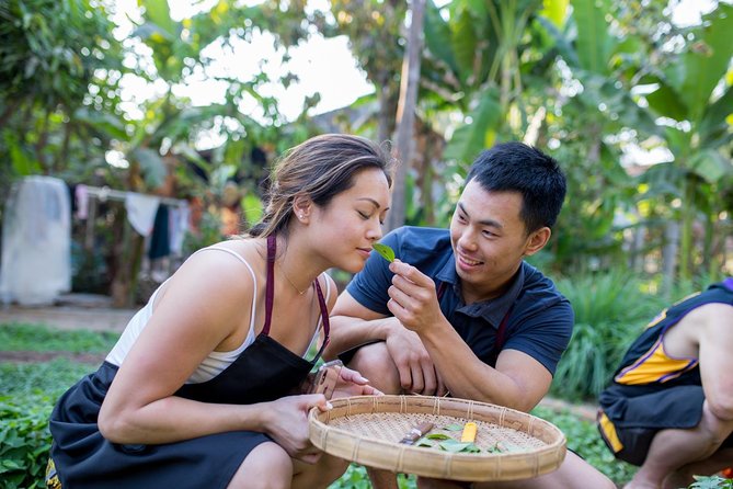 Khmer Cooking Class at a Local's Home in Krong Siem Reap - Garden Herbs, Coconut Milk, and the Open-Air Kitchen Reality