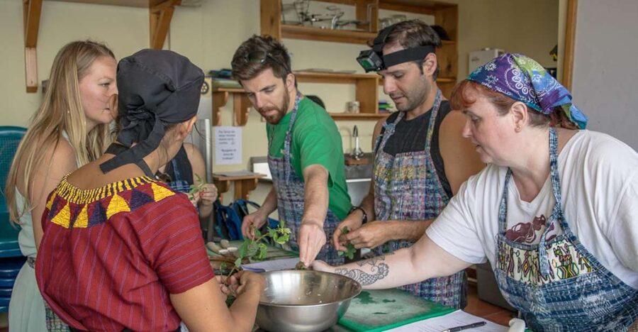 Lake Atitlan Maya Kitchen: 3-Hour Cooking Class - Lunch on the Patio: Part of the Lesson, Not an Add-On