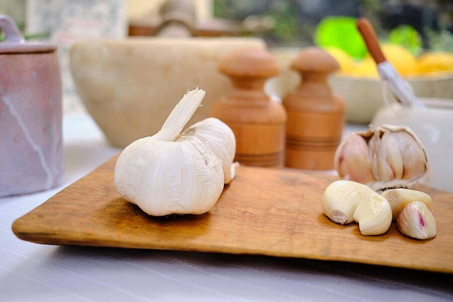 Levanto, Cinque terre: Fresh Pasta and Pesto cooking class - Tips to Make Your Day Go Smoothly