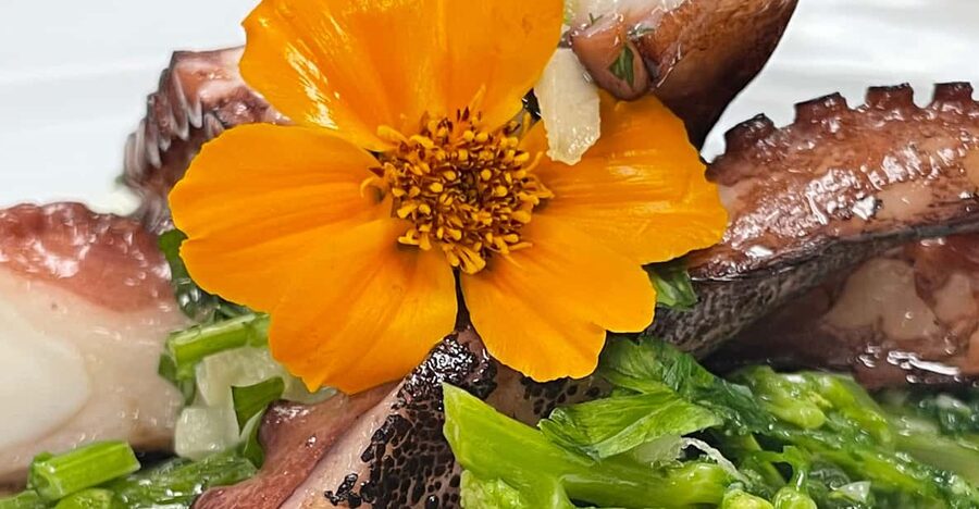 Lisbon: Market Experience & Cooking Class - Who should book this cooking class