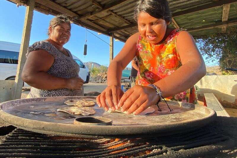Los Cabos: Azteca Cactus Taco Farm to Table Cooking Class - Key Highlights You’ll Feel Immediately