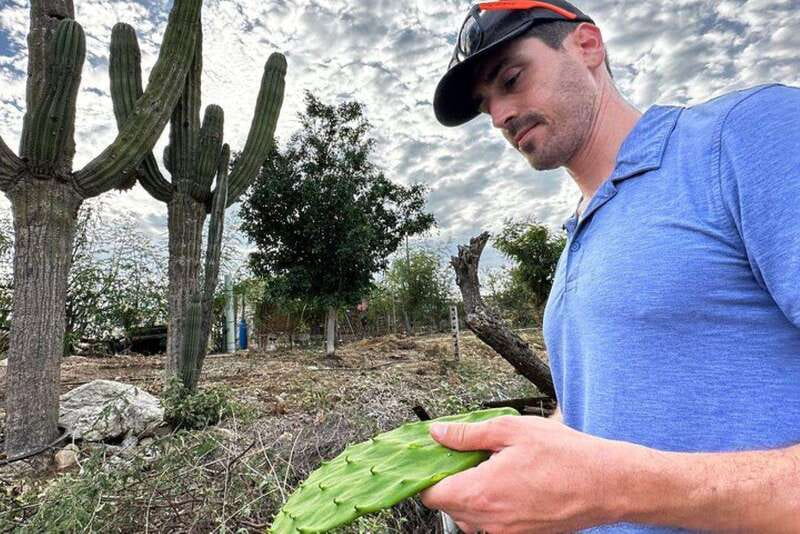 Los Cabos: Azteca Cactus Taco Farm to Table Cooking Class - Lunch That Feels Like a Visit: Ranchero Family Table Time