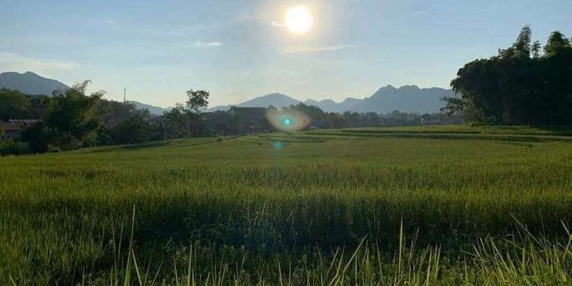Luang Prabang: Evening Cooking Class & Local Baci Ceremony - The Baci Ceremony: What It Is and How to Respect It