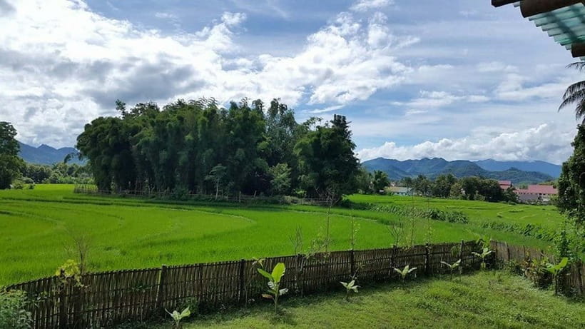 Luang Prabang: Evening Cooking Class & Local Baci Ceremony - Price and Value: Why This $51 Evening Can Be Worth It