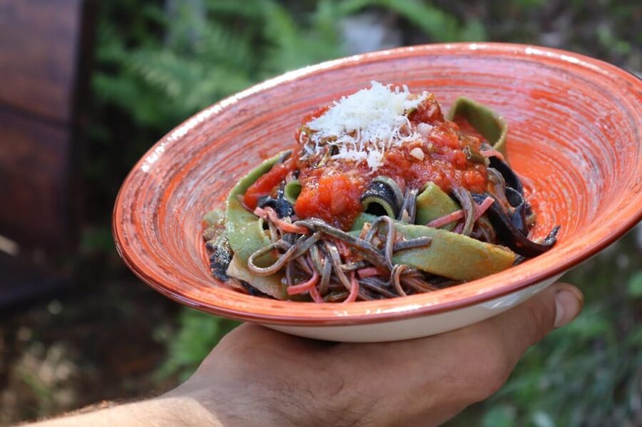 Lucca: Private Home-made Pasta Cooking Class - Practical tips so your pasta day goes smoothly