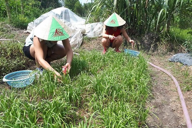 Market to Farm to Table Cooking Class in saigon - Who Should Book This Market-to-Farm Class