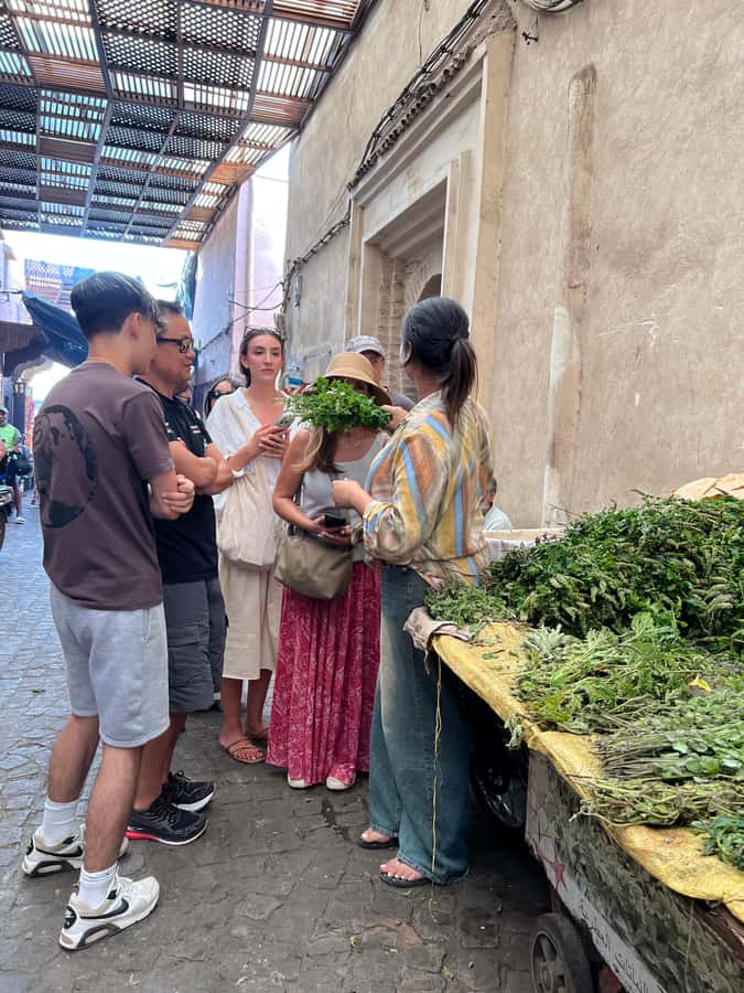 Marrakech: Traditional Moroccan Cooking Class & Market Visit - Group Size and Timing: What Changes From Session to Session