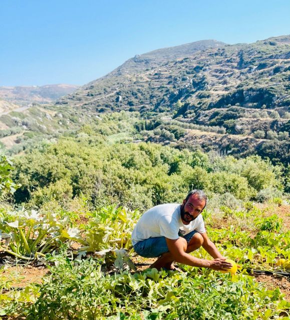 Melanes: Naxos Perivoli Farm & Cooking Class with Wood Fire - Should you book this Perivoli Farm cooking class?