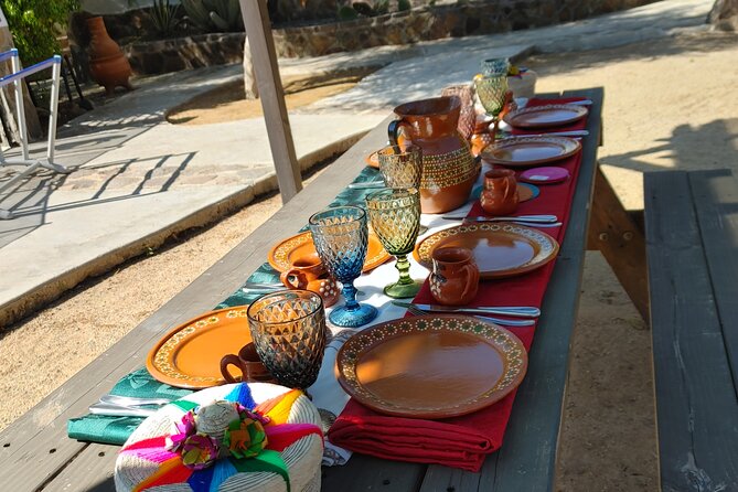 Mexican Cooking Class at Hacienda Eco-Domes | Valle de Guadalupe - Chicken Enchiladas Sinaloa Style: Tortillas, Techniques, and Real Steps