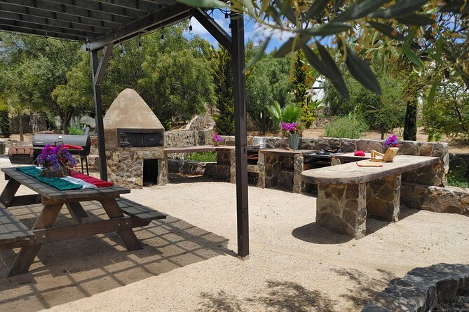 Mexican Cooking Class at Hacienda Eco-Domes | Valle de Guadalupe - The Pace: What the 10:00 AM Start Means for Your Day