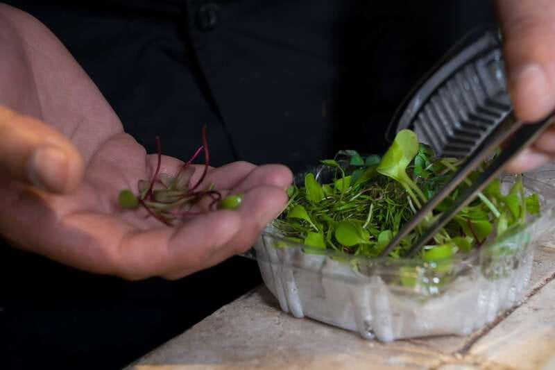 Mexico City: Mexican Cooking Class - What you might cook: from tortillas to mole and tamales (with a realistic menu idea)
