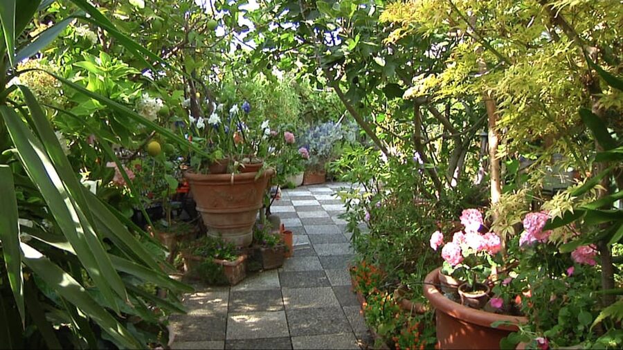 Milan: Pasta, Ravioli, and Gelato Class in a Glamorous Home - Key Highlights You’ll Care About