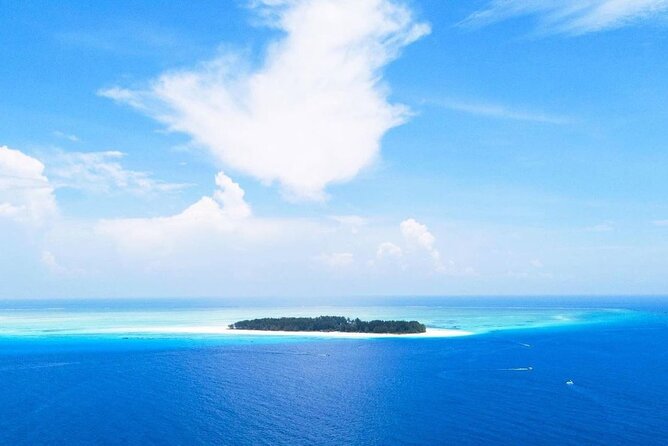 Mnemba Dolphin Tour, Clear Kayak, Cooking Class, Horse Riding - Why this day feels like Zanzibar, not a checklist