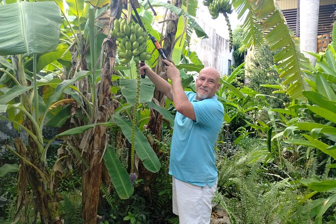 Modern Puerto Rican Cooking Class in a Historic San Germán Home - The Kitchen Lesson: You Cook Three Seasonal Dishes With a Modern Twist