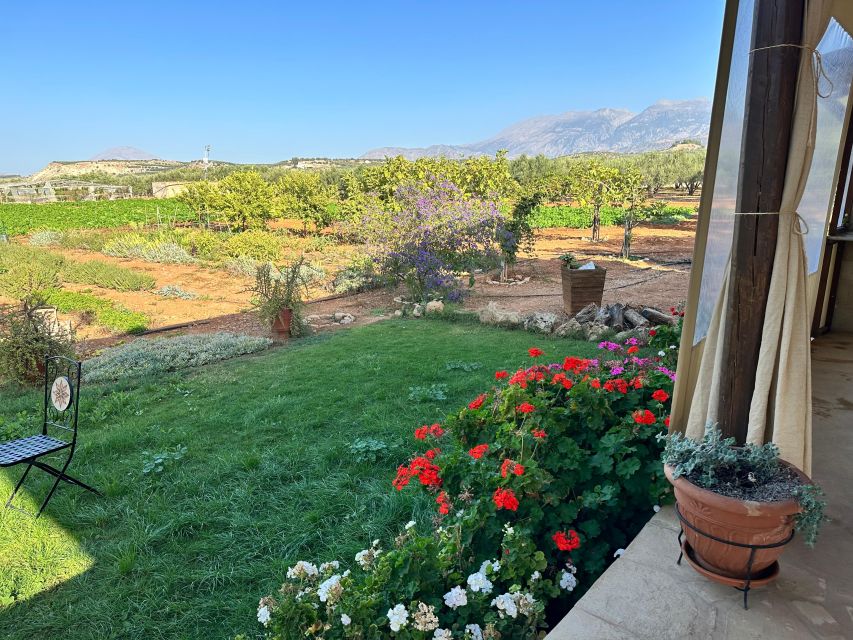Moires: Cooking Class and Olive Oil Tasting at a Family Farm - Wine, refreshments, and eating your own food