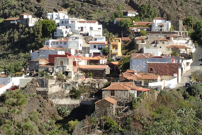 Mojo Cooking Class in an Ancient Canarian Village - The mojo workshop: what you’ll actually do