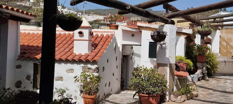 Mojo Workshop Cooking Class in Ancient Canarian Village - Red and Green Mojo: The Skills You’ll Actually Take Home