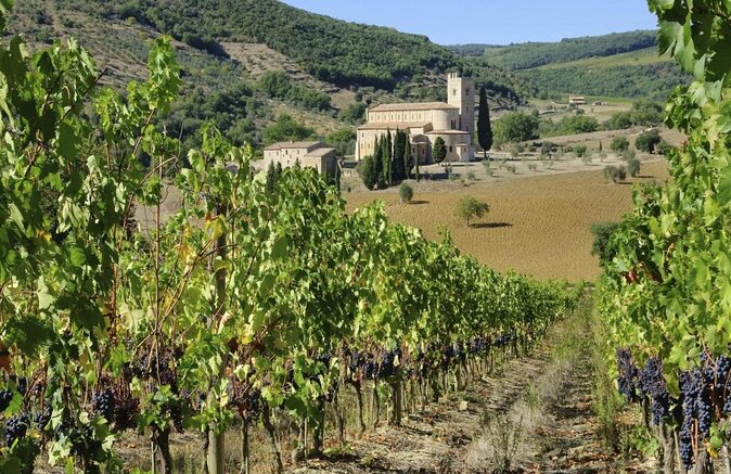 Montalcino Cooking Class and lunch with the local lady - Key things I’d book this for
