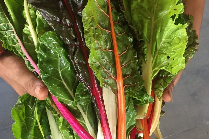 Montreal Cooking Class & Wine Tasting with Michelin Chef Robert - Diet, Allergies, and the Hypoallergenic Cats Note