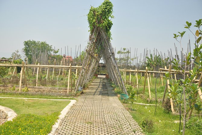 Morning Cooking Class in Organic Farm with Local Market Tour - Who This Is Best For (and Who Might Find It Too Fast)