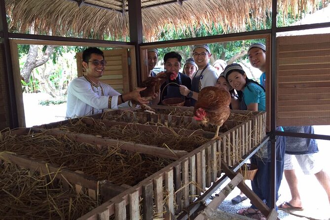 Morning Cooking Class in Traditional Pavilion with Beautiful Garden - Chiang Mai - The Dishes You’ll Cook: Three Core Items and How Choices Work