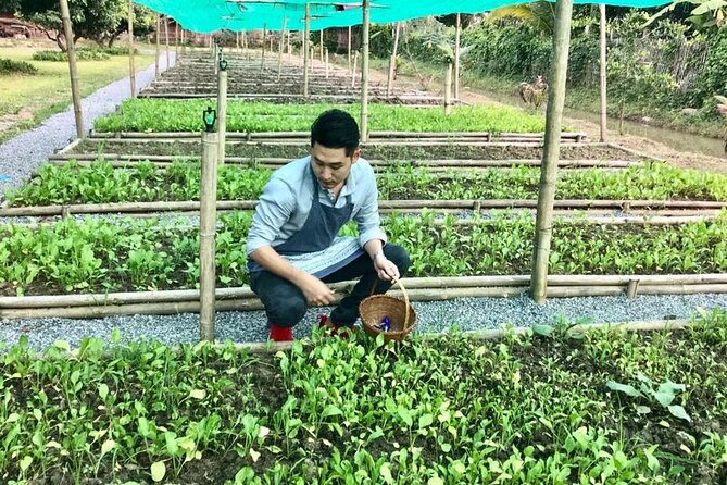 Morning Cooking Class in Traditional Pavilion with Beautiful Garden - Chiang Mai - Group Size, Stations, and the Value of This Price