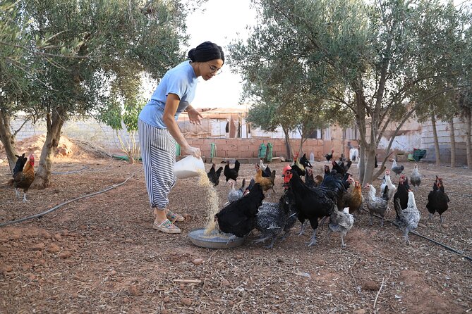 Moroccan Cooking Class and Eco-Farm Visit - Full day - The Eco-Farm Tour: Animals and Organic Basics in Plain Terms