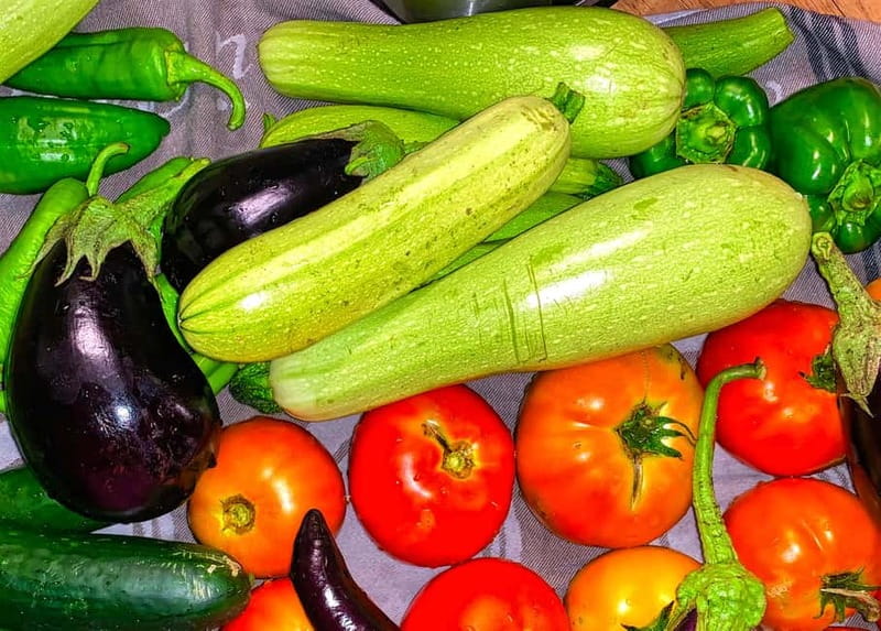 Mykonos: Group Cooking Class at the Home of a Local Family - Who This Cooking Class Is Best For