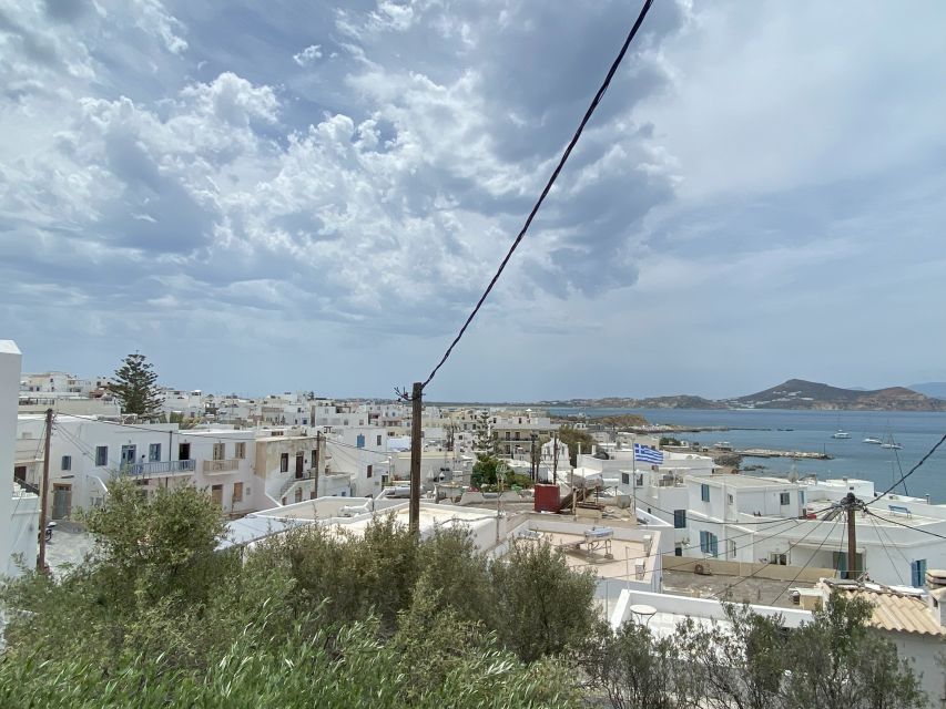Naxos: Food Walking Tour & Cooking Class with Meal & Drinks - Cheese and citron liqueur tastings in local shops