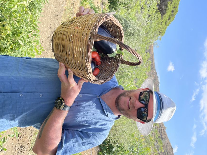 Naxos: Half-Day Cooking Class at Basiliko Family Tavern - Price and logistics: is $117 worth it?