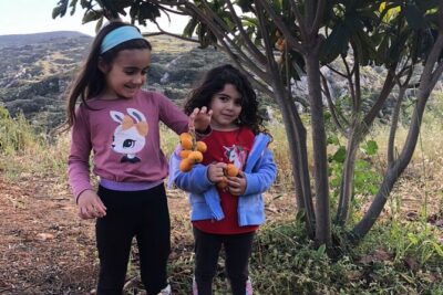 Naxos Perivoli Farm Experience & Wood-fire Cooking Class - First stop: meeting the farm animals and gathering eggs