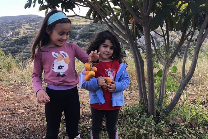 Naxos Perivoli Farm Experience & Wood-fire Cooking Class - First stop: meeting the farm animals and gathering eggs