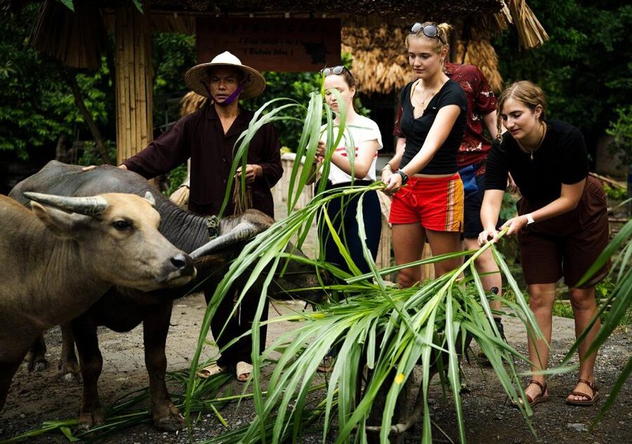 Ninh Binh cooking class at Buffalo Cave - Where it fits best: who should book this