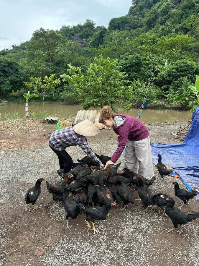 Ninh Binh: Half-Day Cooking Class at a Local Home - The Actual Flow: From Garden and Pond to the Dinner Table