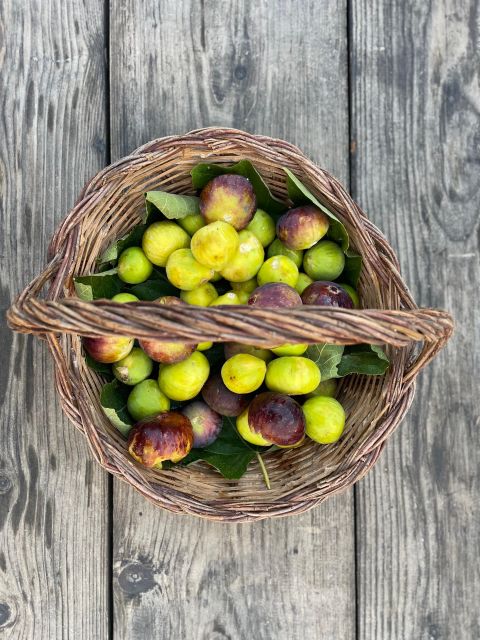 Noto: Farm to Fork in Sicily - Cooking Class in a Farm - Key Highlights You’ll Actually Care About