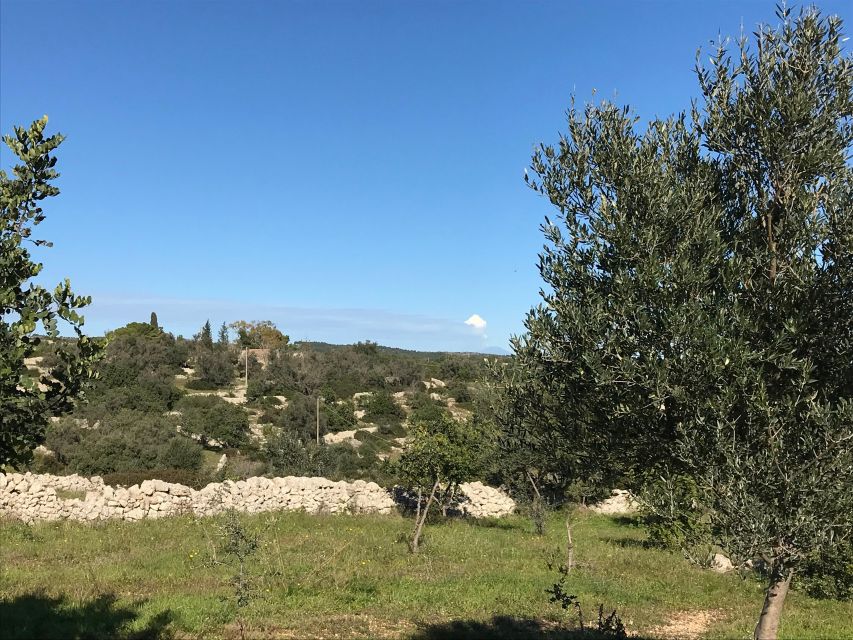 Noto: Farm to Fork in Sicily - Cooking Class in a Farm - In the Kitchen With Annarella and Fabio: Pasta Making Plus Seasonal Dishes