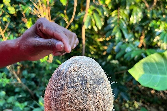 Organic cooking class sigiriya (kumara & family) - Who should book this class in Sigiriya?