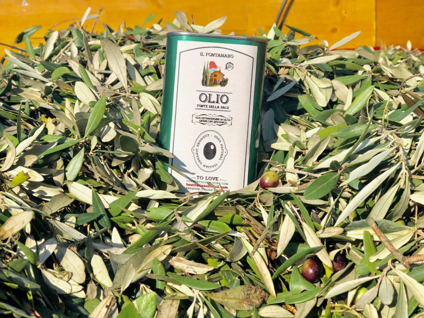 Paciano: Organic Cooking Class at a Farm with Lunch & Wine - Organic Ingredients, Seasonal Veg, and Real Dietary Options