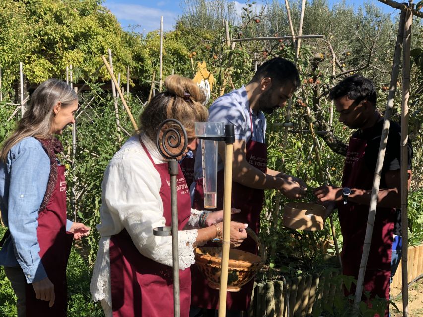 Paciano: Organic Cooking Class at a Farm with Lunch & Wine - Price and Value: Is $124.61 a Good Deal?