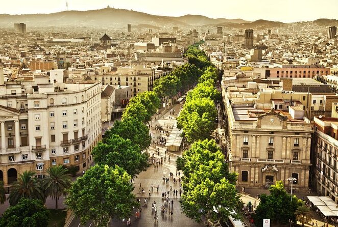 Paella Class & Bottomless Wine: Las Ramblas Views - Key Things to Know Before You Book