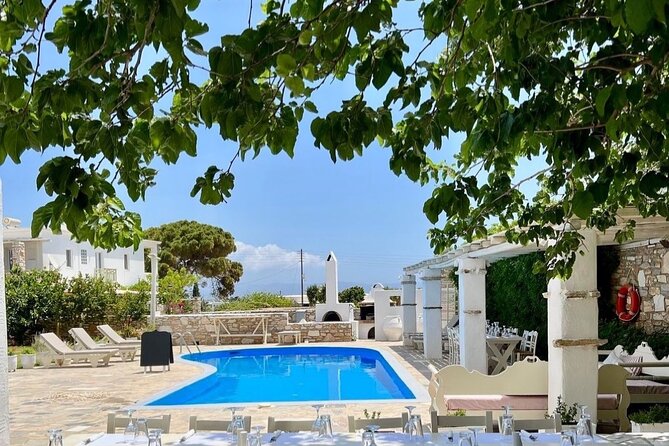 Paros: Cooking Class with Greek Meal & Wine - What you’ll actually do in the kitchen (and why it feels inclusive)