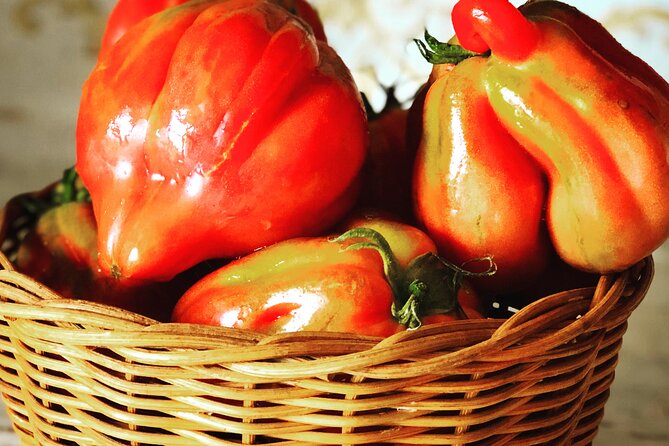 Pasta and Pizza cooking class in Cortona - Lunch Is Included: Fresh Pasta, Pizza, Focaccia, and Water