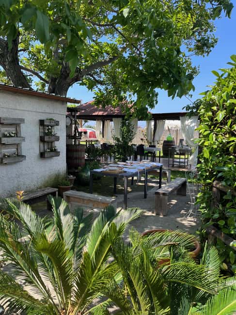 Pasta Cooking Class in a Garden near Pompeii - Price and Value: What $94 Gets You Near Pompeii