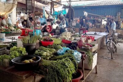 Phnom Penh’s Hands-On Khmer Cooking Class in the Countryside - Village market shopping with a guide who thinks like a cook
