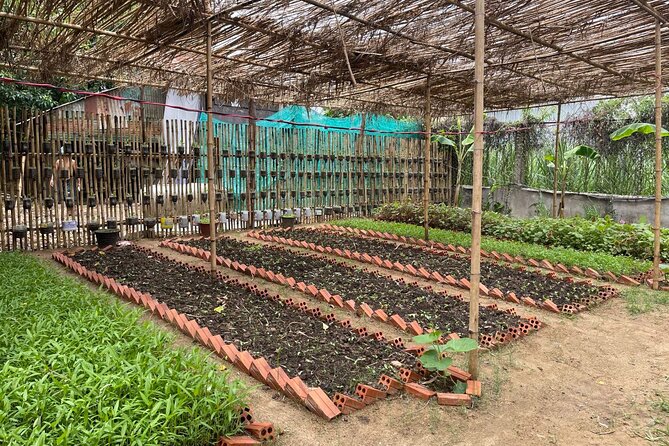 Phnom Penh’s Hands-On Khmer Cooking Class in the Countryside - Who should book this countryside class (and who should skip)