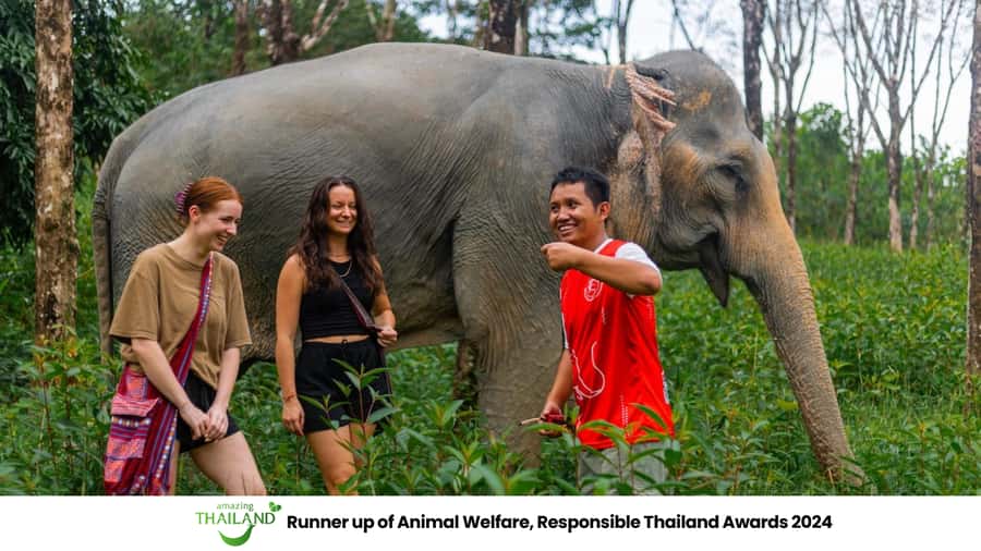 Phuket: Elephant Sanctuary Tour, Cooking Class & Lunch - 5 Key Things I’d Book This For