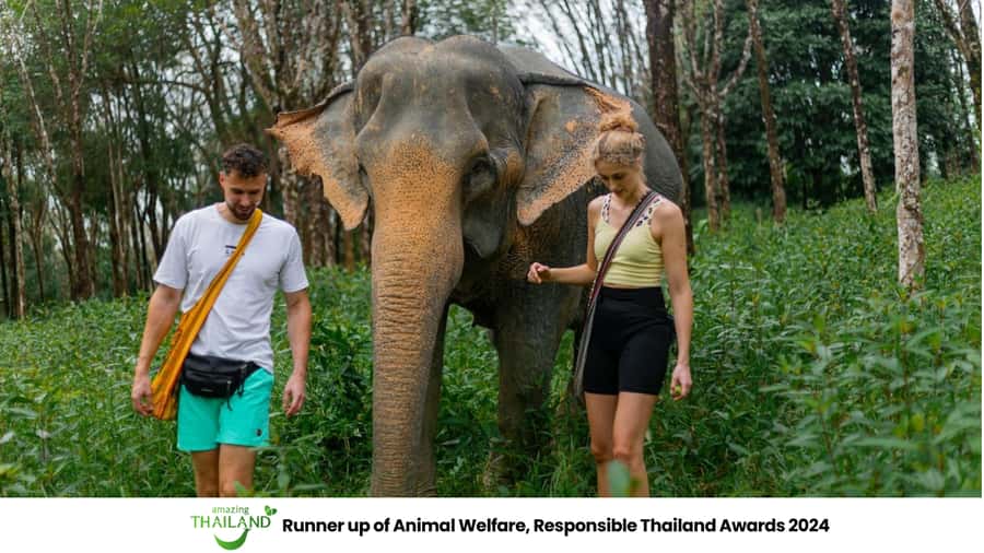 Phuket: Elephant Sanctuary Tour, Cooking Class & Lunch - A Welfare-First Elephant Day Near Khao Lak (Not a Show Schedule)